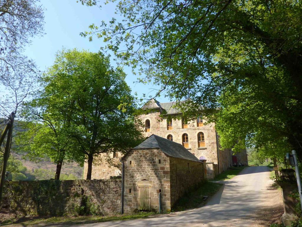 Banassac Chateau De Salelles المظهر الخارجي الصورة