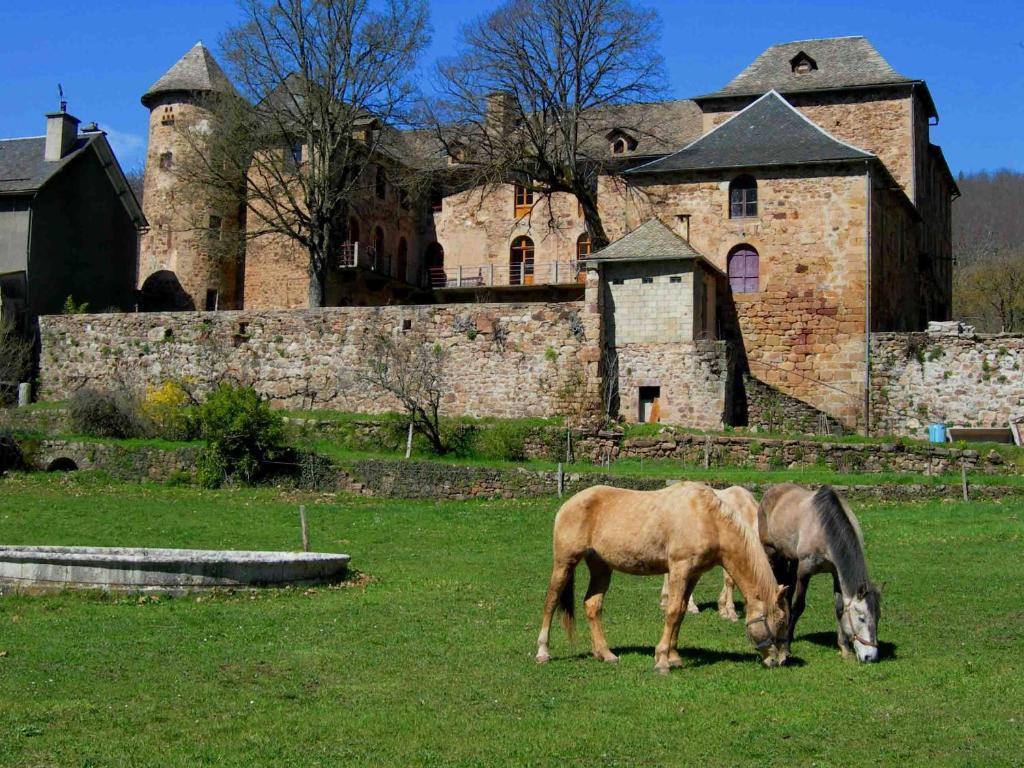 Banassac Chateau De Salelles المظهر الخارجي الصورة